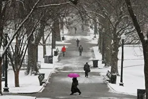 Weather Prints: Pedestrians walk through Boston Common during a winter snow storm in Boston