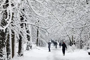 Weather Prints: People walk in a snow-covered path in the Bois de Vincennes in Paris, France