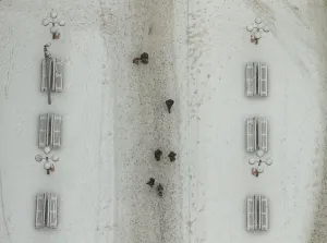 Prints of People walk across a snow covered street in Berlin, December 17, 2010. REUTERS/Tobias Schwarz (GERMANY - Tags: ENVIRONMENT IMAGES OF THE DAY) Germany Prints: People walk across snow covered street in Berlin