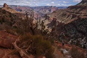 Images Dated 14th March 2018: A person hikes on the Bright Angel Trail in the Grand Canyon near Grand Canyon Village