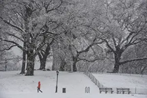 : A person walks through the snow during a storm in the Brooklyn borough of New York City