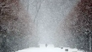 Weather Prints: A person walks during snowfall in the grounds of the Charlottenburg Palace in Berlin
