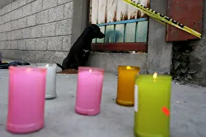 Mexico Prints: Pet of inhabitants killed at a house knocked by the car of a cargo train after it ran off