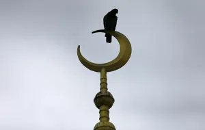 Religion Prints: A pigeon is seen on top of a cresent during the holy month of Ramadan at a mosque in