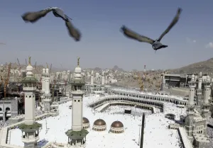 Pigeons fly over the Grand Mosque at Friday prayers during the annual haj pilgrimage in Pigeons fly over the Grand Mosque at Friday prayers during the annual haj pilgrimage in