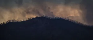 Wildfire Prints: Plumes of smoke from the Waldo Canyon Fire rises above trees in Colorado Springs