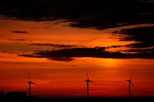 Energy Prints: Power-generating windmill turbines are pictured during sunset at a wind park in