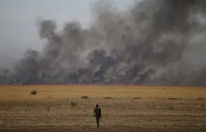 Images Dated 2014 February: A rebel fighter walks in front of a bushfire in a rebel controlled territory in Upper