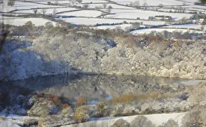Reflections of snow covered trees are seen in a lake near Sutton Bank