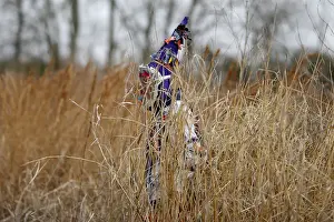 : A reveller walks through a field during the Faquetaique Courir de Mardi Gras celebration