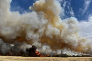 Oklahoma Prints: The Rhea fire burns through a grove of red cedar trees near Seiling
