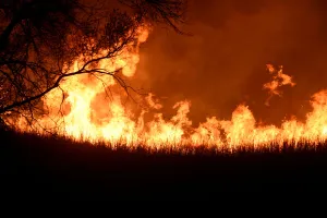 Images Dated 18th April 2018: The Rhea fire burns into the night near Seiling