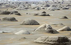 Rocks known as El Mokhimat are seen in the Old White Desert near the Farafra Oasis