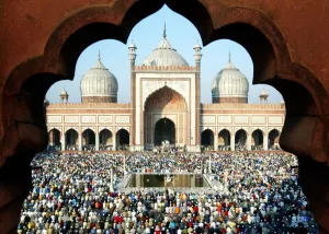 Images Dated 2004: Rp4Driharfab