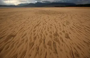 Safrica Prints: Sand blows across a normally submerged area at Theewaterskloof dam near Cape Town