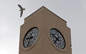 Time Prints: A seagull flies past a broken tower clock which does not indicate the correct time in