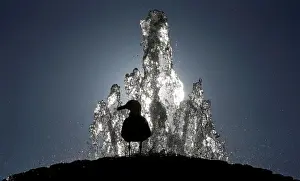 Images Dated 2018 February: A seagull stands atop a fountain in Saint Peters Square at the Vatican