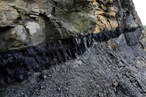 A section of coal is exposed in the rock face lining a road in Partridge, Kentucky