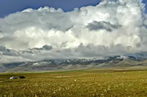 SHEEP GRAZE ON MOUNTAIN SLOPES NEAR THE TOWN OF SULEIMANIYA IN IRAQ