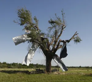 Prints of Sheet metal is pictured stuck in a tree along Route 66 in El Reno, Oklahoma June 1, 2013 USA Prints: Sheet metal is pictured stuck in a tree along Route 66 in El Reno