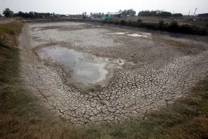 Images Dated 2016 April: A shrimp farm affected by drought is seen in Bac Lieu province, in the Mekong Delta