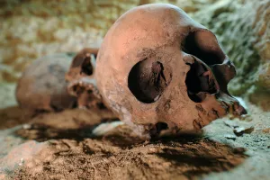 Egypt Prints: Skulls are seen inside the recently discovered burial site in Minya