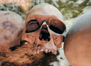 Egypt Prints: Skulls are seen inside the recently discovered burial site in Minya