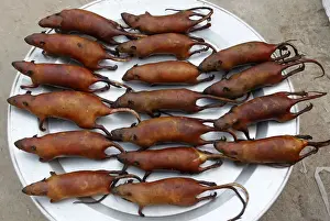 Slaughtered rats are displayed for sale at the market of Canh Nau village, west of Hanoi