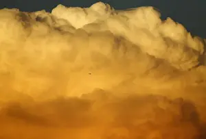 Images Dated 2014 September: A small aircraft flies past a large emerging thunderstorm during sunset near Encinitas