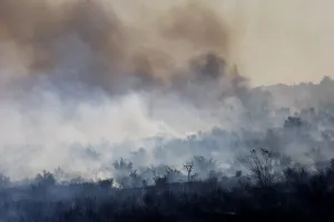 Wildfire Prints: Smoke rises from a charred landscape as a wildfire driven by fierce Santa Ana winds