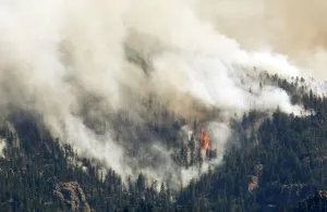 Wildfire Prints: Smoke rises from the raging High Park fire west of Fort Collins, in Colorado