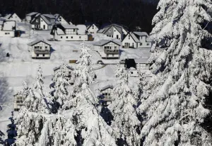 Weather Prints: Snow covered trees are pictured at the skiing area of the western city Winterberg