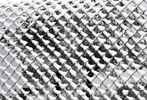 Snow covers a fence in Martaba village near the Lebanese-Israeli border, in south Lebanon