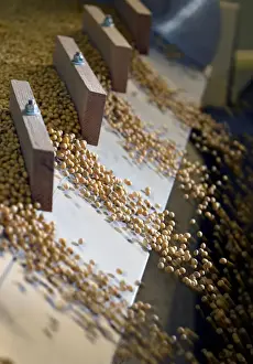 Pesticide Prints: Soybeans being sorted according to their weight and density on a gravity sorter machine