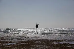 A Sri Lankan fisherman makes his daily catch while sitting on a traditional stilt in Talpe