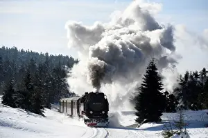 Germany Prints: A steam train of the Harzer Schmalspurbahn makes its way towards the Brocken mountain
