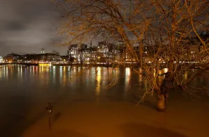France Prints: A street-lamp and a tree are seen on the flooded banks of the River Seine in Paris
