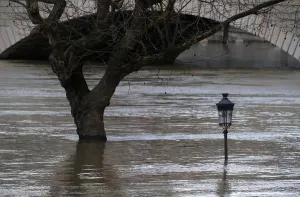 Weather Prints: A street lamp and a tree are seen on the flooded banks of the River Seine in Paris