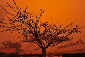 Strong dust storm that prevented people from leaving their homes is seen in Benghazi