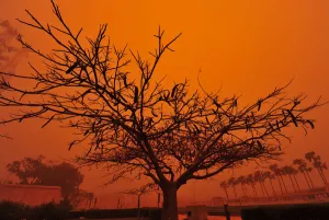 Libya Prints: Strong dust storm that prevented people from leaving their homes is seen in Benghazi