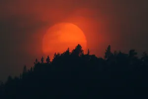 Prints of The sun sets over a forest which is shrouded in smoke, from the Siberian Taiga wildfire outside Krasnoyarsk, Russia, July 23, 2016. REUTERS/Ilya Naymushin TPX IMAGES OF THE DAY Russia Prints: A sun sets over a forest which is shrouded in smoke, from the Siberian Taiga wildfire