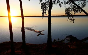 Belarus Prints: Sun sets behind a lake near the town of Vileika