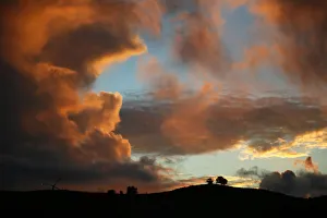 The sun sets behind oak trees after a rain storm in Los Angeles The sun sets behind oak trees after a rain storm in Los Angeles
