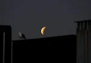 A Super Blue Blood Moon rises during a lunar eclipse in this picture taken from