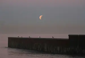 Lunar Prints: A Super Blue Blood Moon rises during a lunar eclipse in this picture taken from