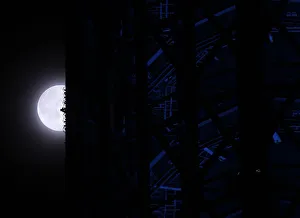 A super moon is seen next to Tokyo Sky Tree, the worlds tallest broadcasting tower at 634 metres
