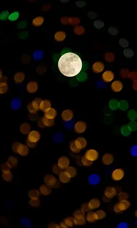 Sighting Prints: The supermoon full moon is seen through Christmas lights in Valletta