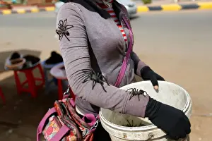Tarantulas walk on a womans arm after she caught them in a spider field in Kampong Thom