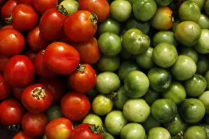 Food And Drink Prints: Tomatoes are seen at a market in Jakarta