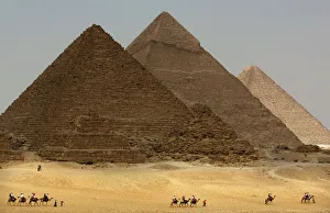 Tourists ride camels in front of Giza pyramids
